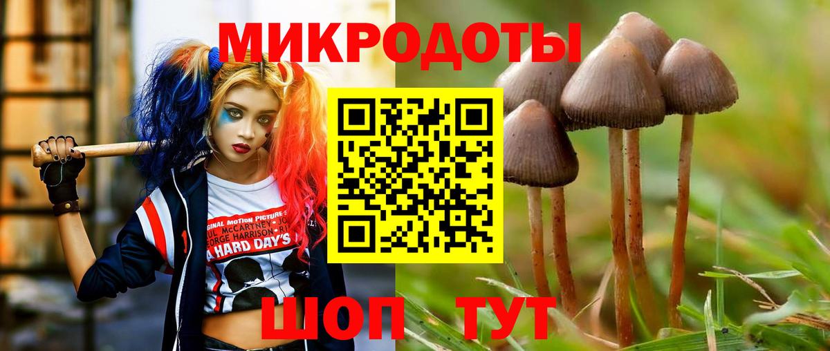Псилоцибиновые грибы Psilocybe  Вход с VPN  Кубинка 